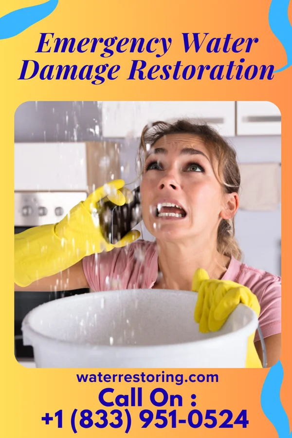 Emergency Water Damage Restoration in Longboat Key, FL