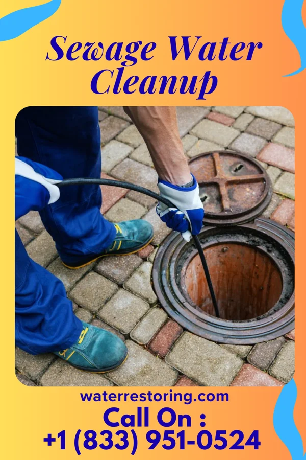 Sewage Water Cleanup in Longboat Key, FL
